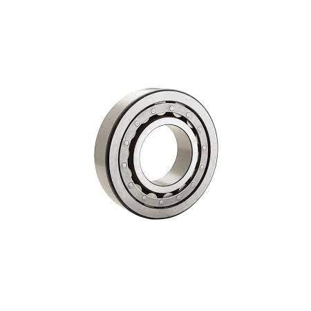 NSK Cylindrical Roller Bearing - Metric N205ET